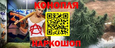 СК Ставрополь